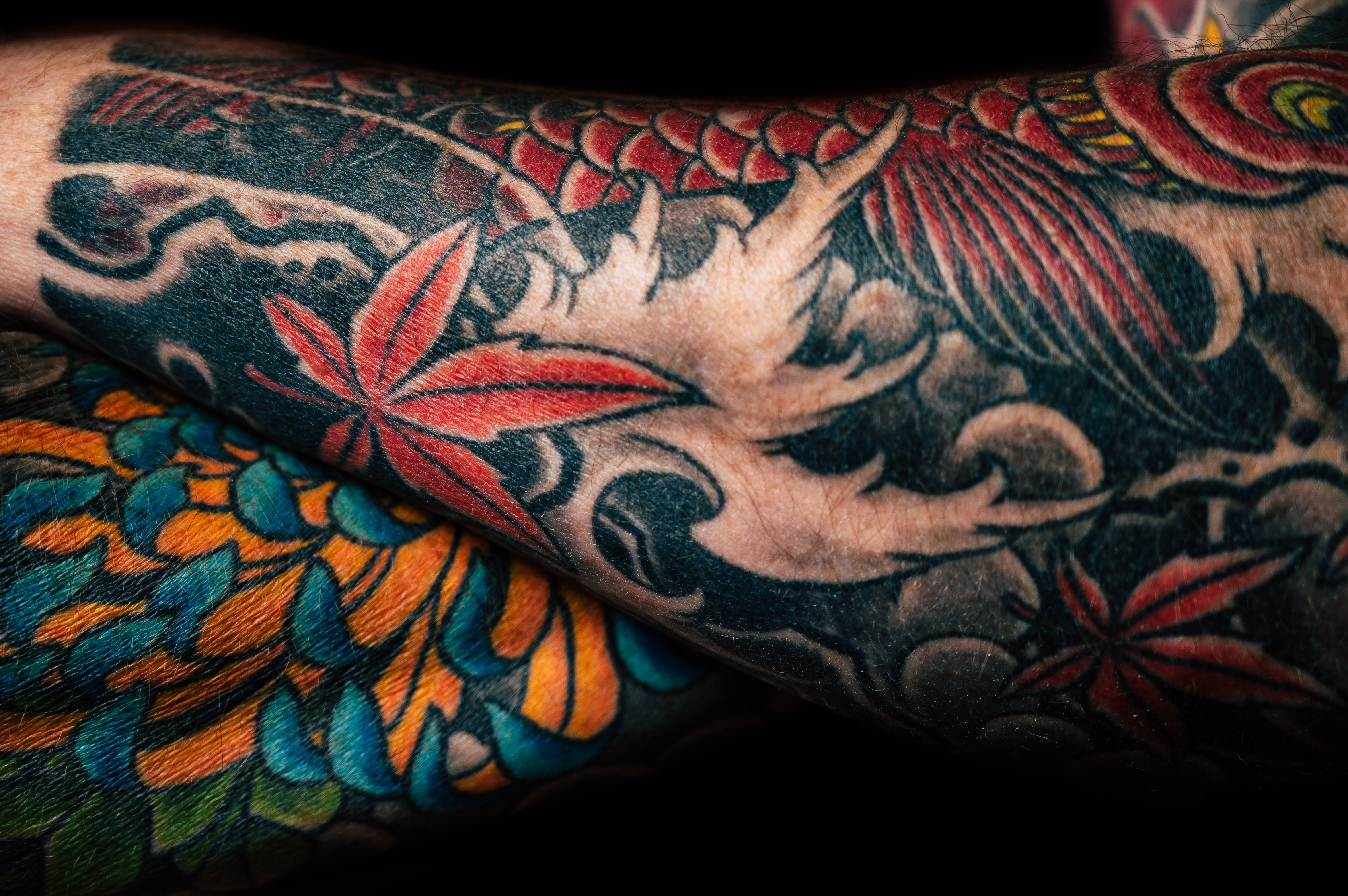 Manga japonesa colorida com carpa koi e crisântemo em estilo irezumi